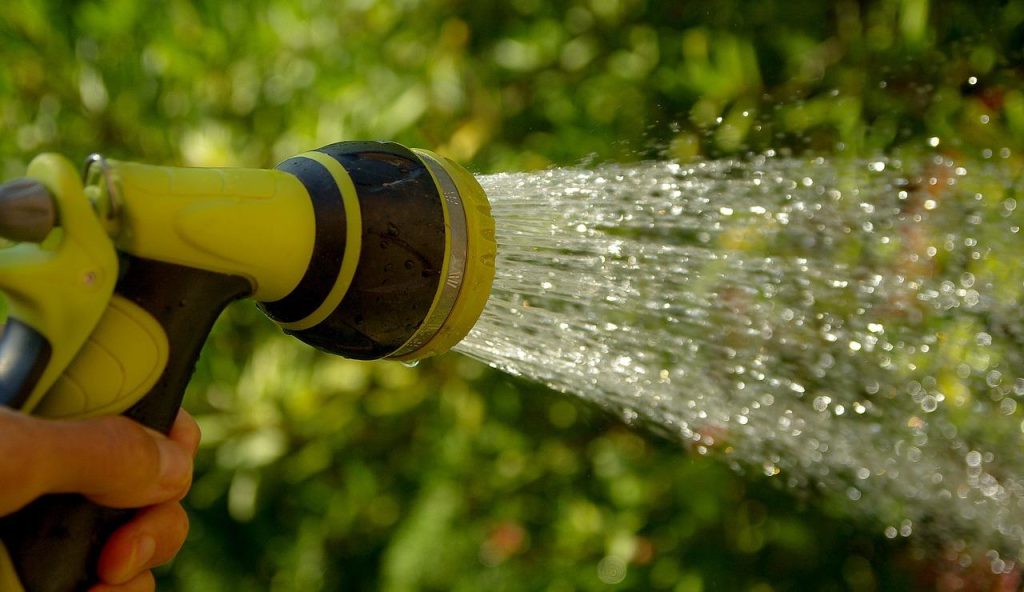 Professionele tuinman in Almere voert tuinonderhoud uit met expert vakmanschap en aandacht voor detail